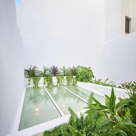 Leonor Conil Готель