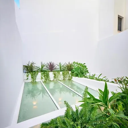 Leonor Conil 酒店 科尼尔-德拉弗龙特拉